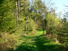 Ferienhaus im Bayerischen Wald